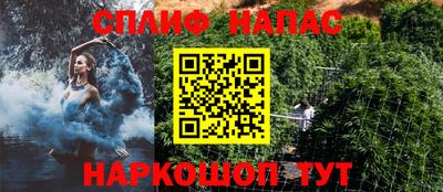 гашик Новодвинск