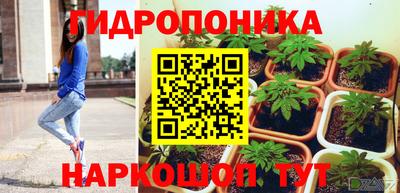 гашик Новодвинск
